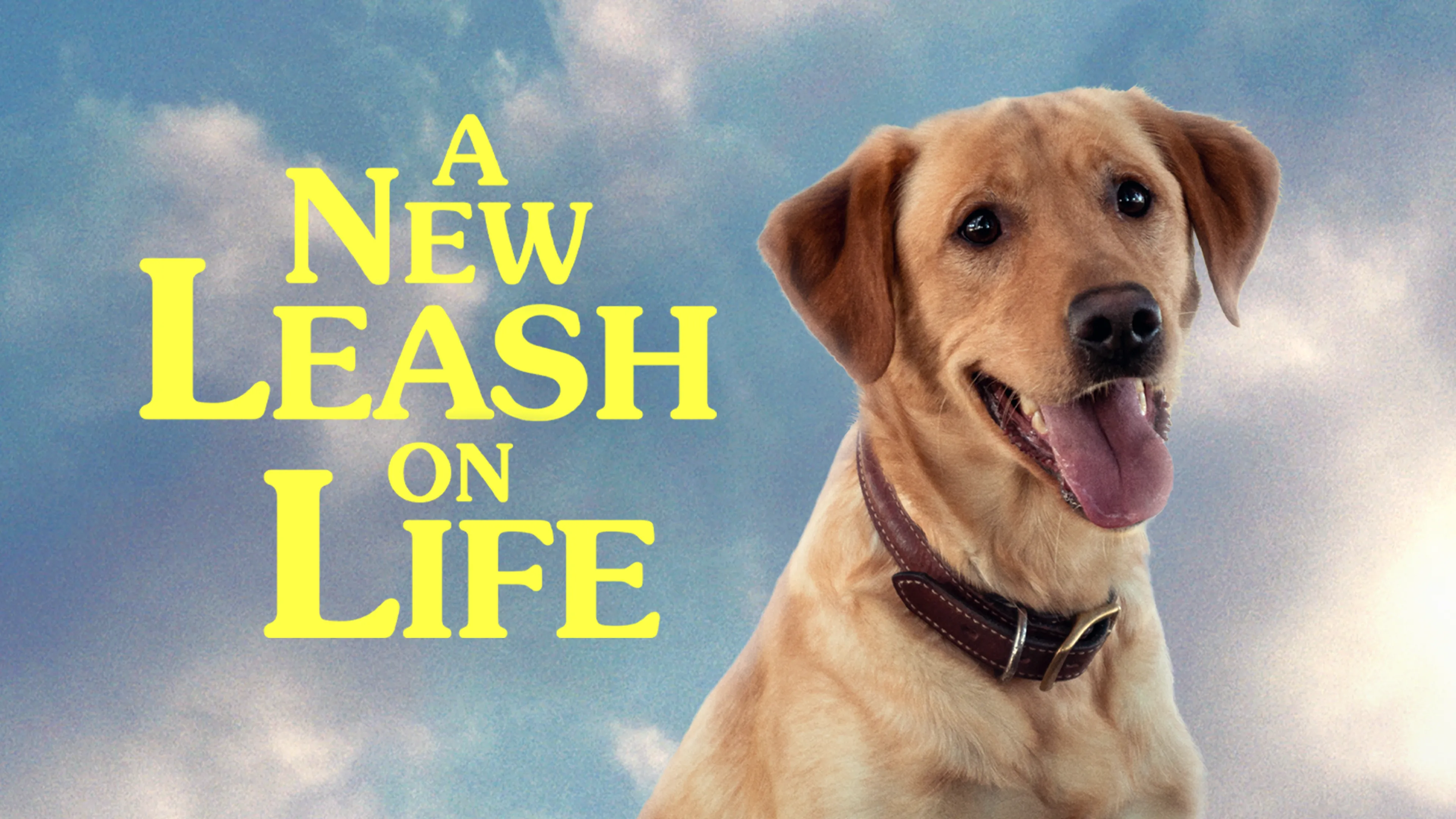 A New Leash on Life poster